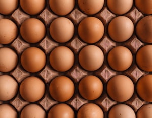 Telur Ayam Grade A