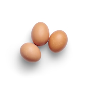 Telur Omega-3
